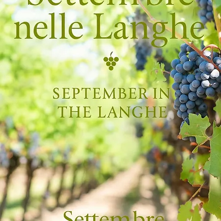 Tenuta Monteoliveto - Relax - Nelle Langhe * Vesime