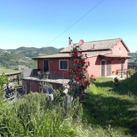 Tenuta Monteoliveto - Relax - Nelle Langhe